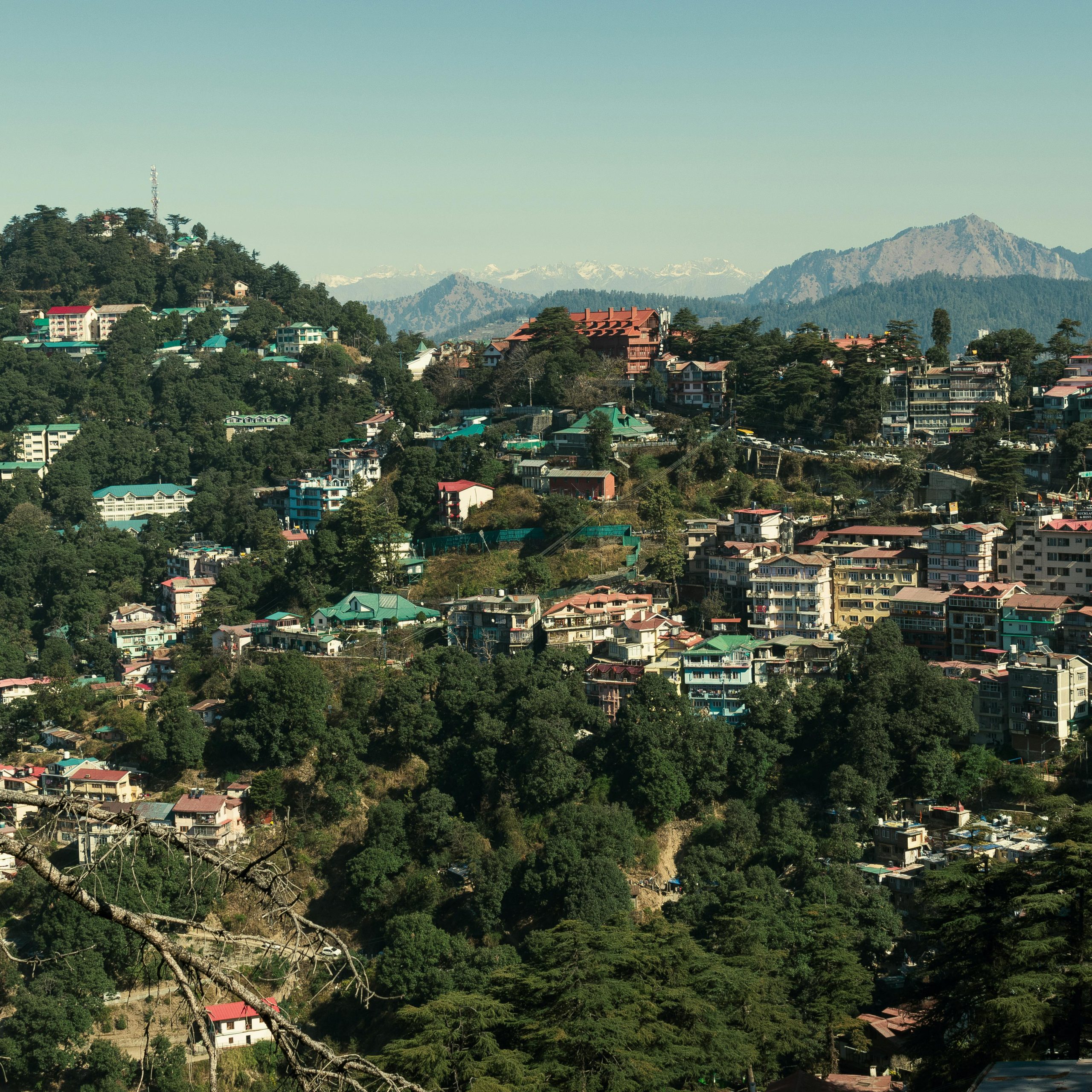 Shimla